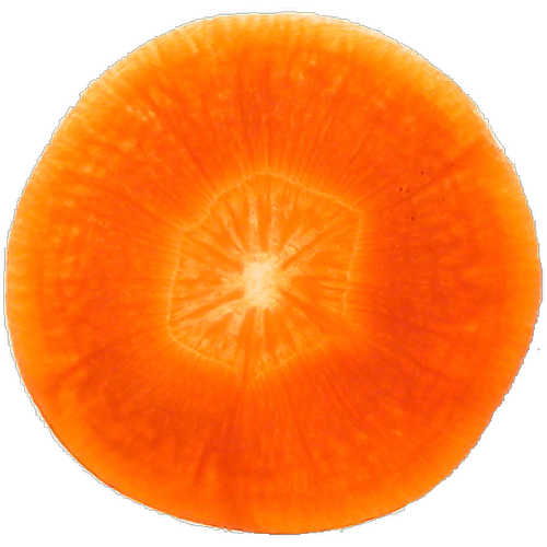 carrot sq