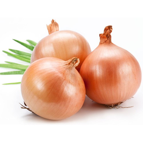 onions sq