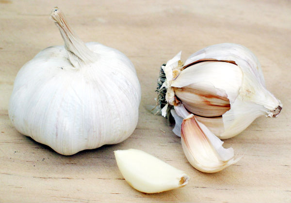 garlic large